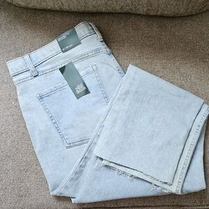 Wild Fable Jeans Size 18/34 Waist